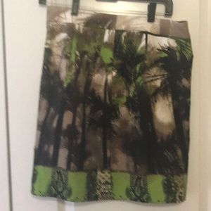 Women’s lined skirt, size4, excellent condition